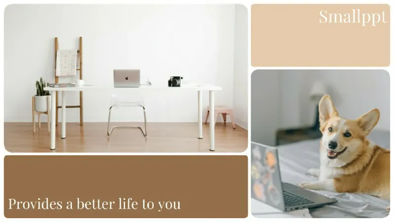 informative presentation