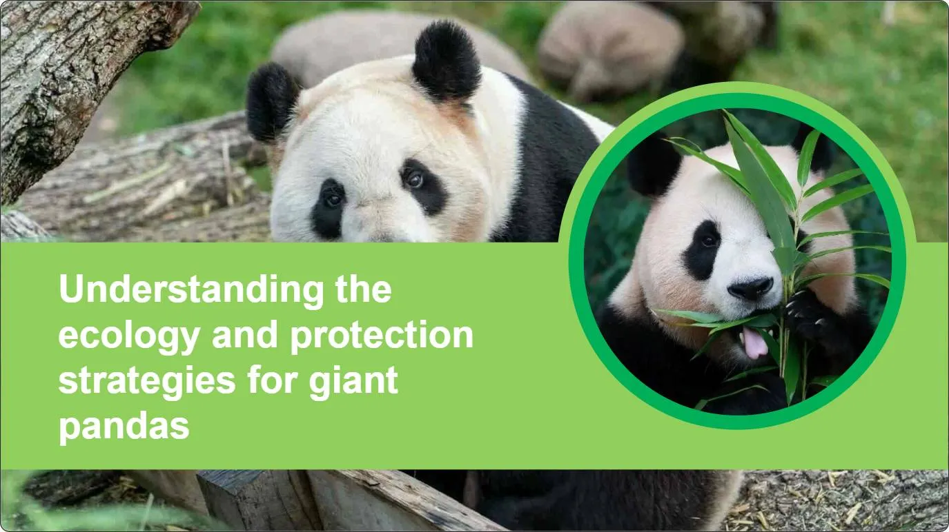 artificial intelligence powerpoint presentation